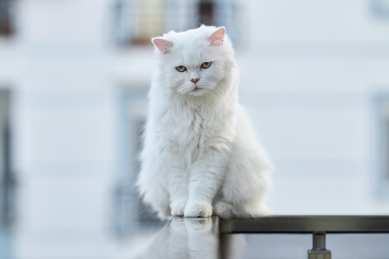 Sfeervol gedekte tafel voor twee op klein balkon.
