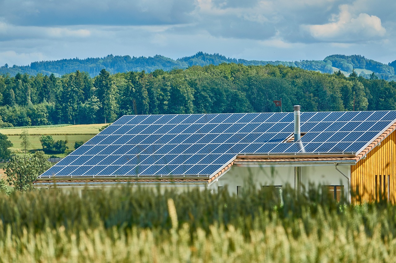 Groene daken verminderen zomerhitte en energieverbruik. Groene daken verminderen zomerhitte en energieverbruik.